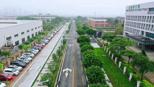 共计4.99公里 珠海8条市政道路改造完成