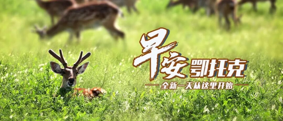 鄂尔多斯18万份抗过敏药免费申领|第三批“国补”已下达|65种药品纳入第12批国采来了……